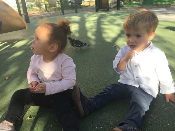 Mes deux phénomènes 