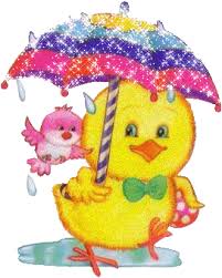 poussins-6.jpg